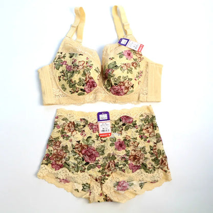 Women's Bra Set Sexy Lace Printed Embroidery Plus Size Full Cup Female Lingerie Suit 34 36 - 48 B C D E F
