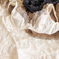 2 Pcs High Quality Women Lingerie Set Sexy Ultra Thin Satin Lace Splicing Bras French Leopard Print Underwear Bra and Thong Sets