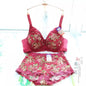 Women's Bra Set Sexy Lace Printed Embroidery Plus Size Full Cup Female Lingerie Suit 34 36 - 48 B C D E F